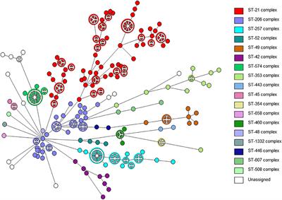 WGS-Based Prediction and Analysis of Antimicrobial Resistance in Campylobacter jejuni Isolates From Israel